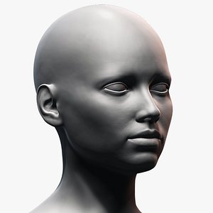 European Bust Female Head 3D model