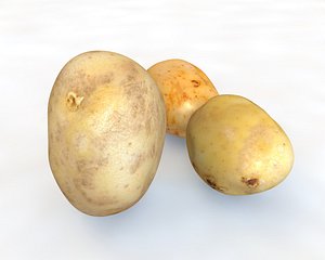 3D potatoes model