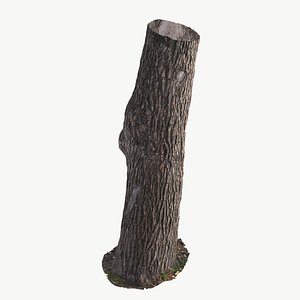 3D High Quality Scan Ash Tree Trunk  - 4