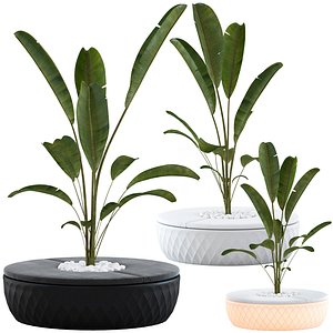 Vondom Vases Island with plant model