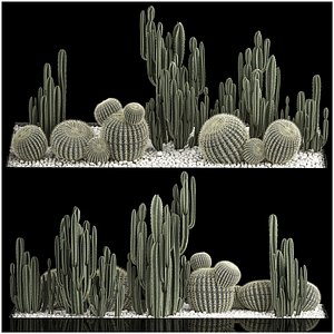 3D Plants Desert Flowerbed With Cactus