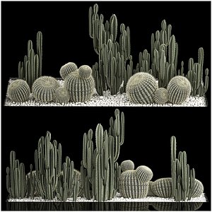 Plants Desert Flowerbed With Cactus