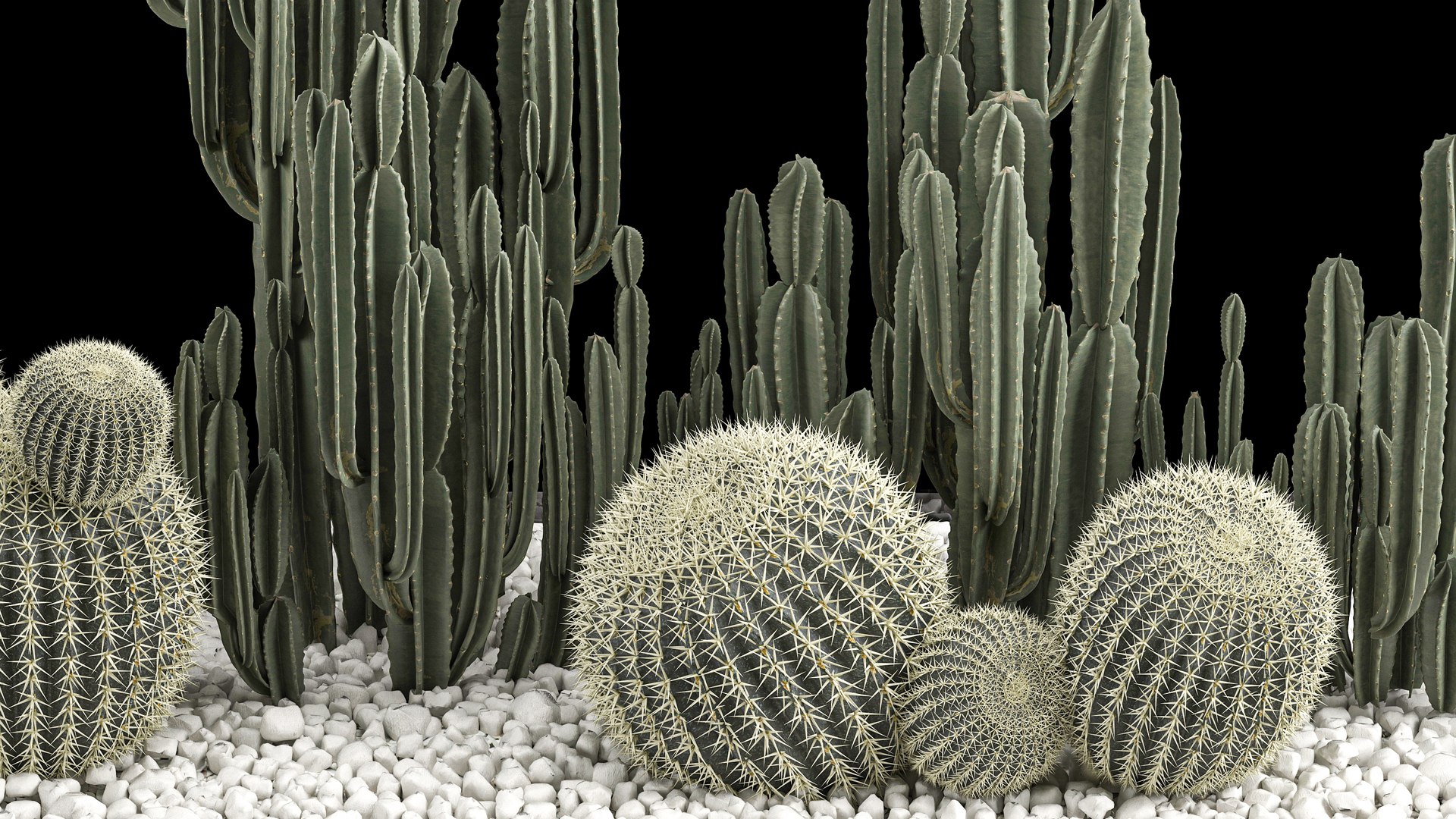 3D Plants Desert Flowerbed With Cactus - TurboSquid 1908605