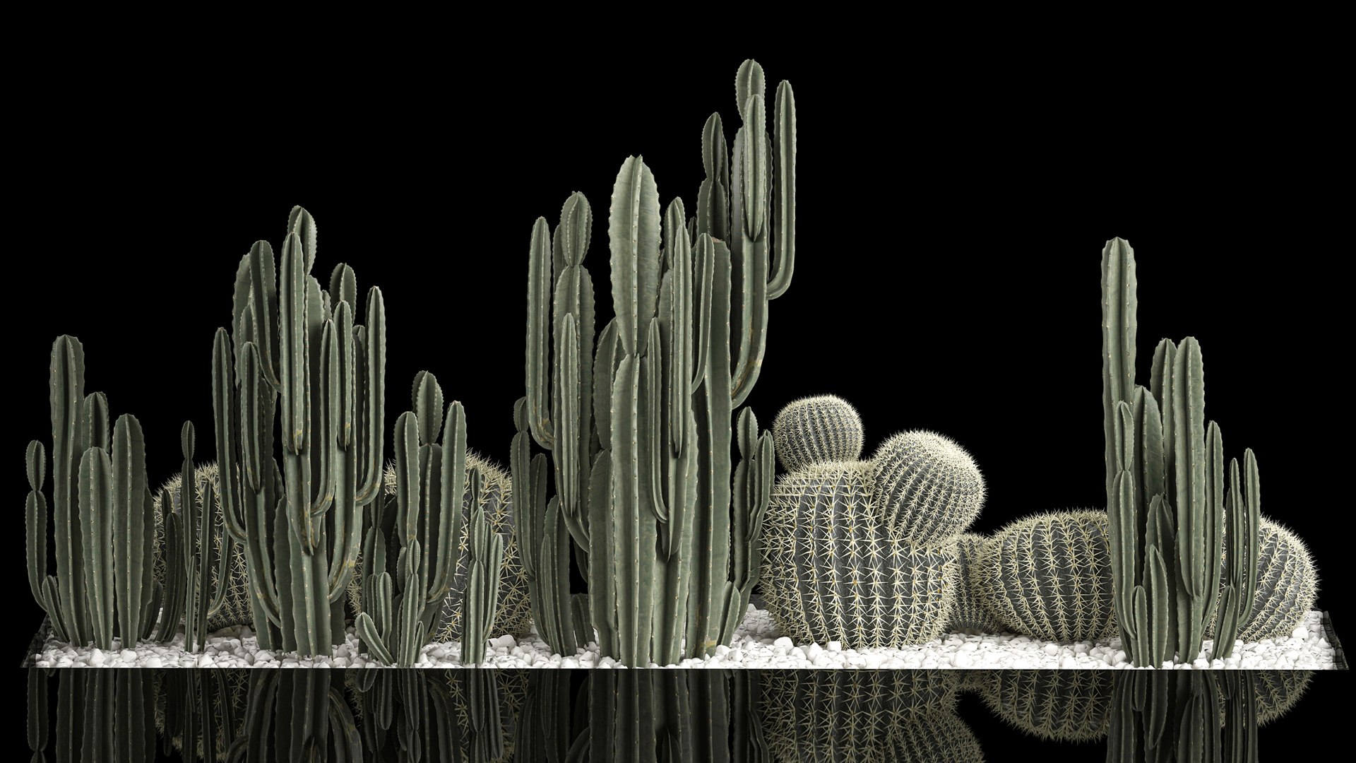 3D Plants Desert Flowerbed With Cactus - TurboSquid 1908605