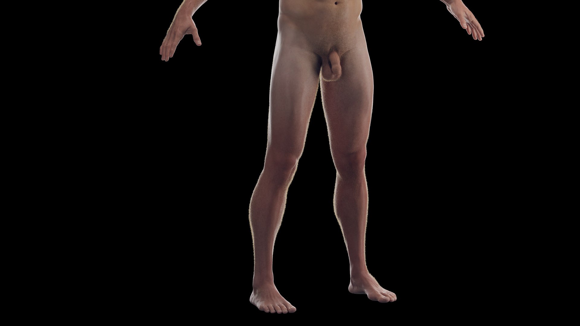 3D Human Male Body Static https://p.turbosquid.com/ts-thumb/GE/gYnfVk/0S/male_body_2f0007/jpg/1673021154/1920x1080/fit_q87/95a59418a05a6b472c2f570596b1b30506fb33fc/male_body_2f0007.jpg