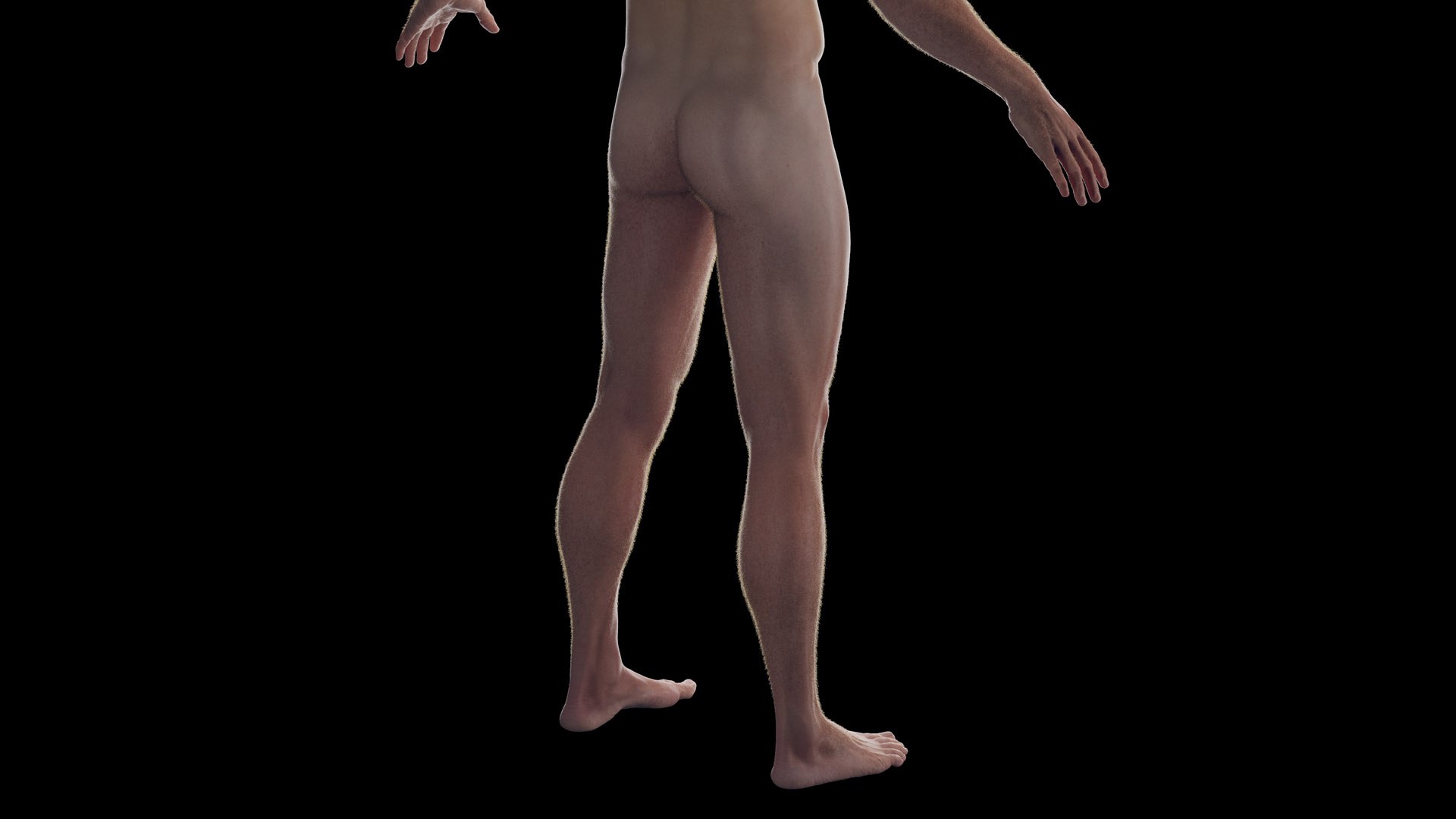 3D Human Male Body Static https://p.turbosquid.com/ts-thumb/GE/gYnfVk/9t/male_body_2f0006/jpg/1673021153/1920x1080/fit_q87/b0a0ee4b325c55146b03798e00cc6dcb60d0d5fa/male_body_2f0006.jpg