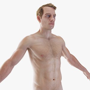 3D Human Male Body Static