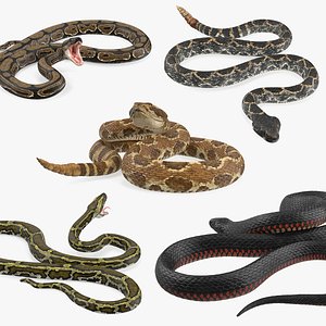 3D rigged snakes 3 model