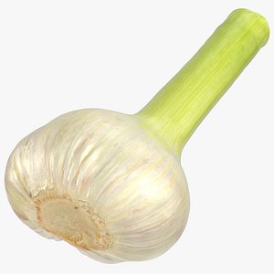 3D hardneck garlic 03