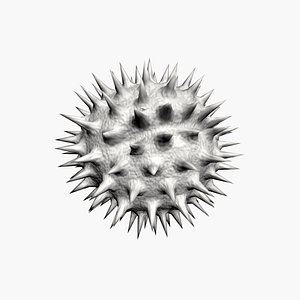 Helianthus pollen
