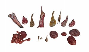 3D model Animal Carcasses Pack