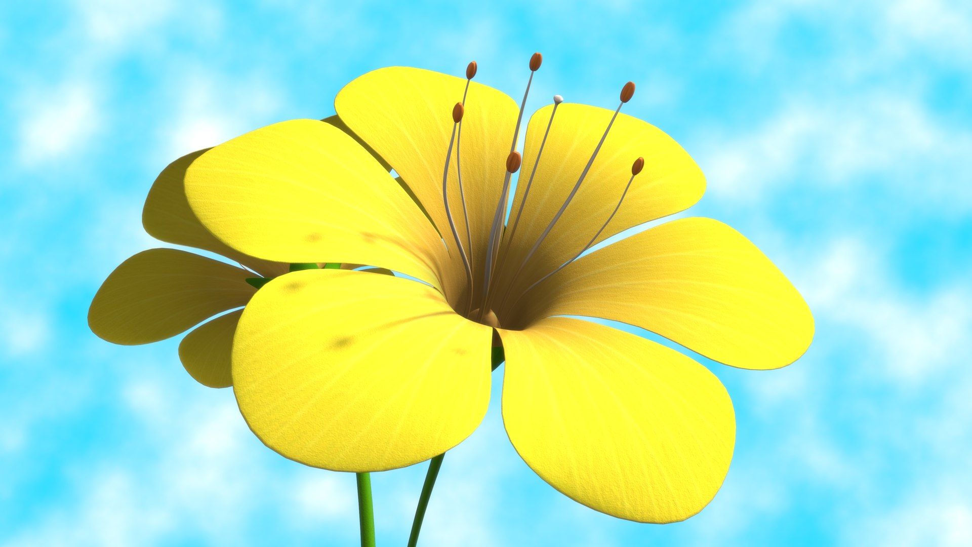 3D Model Autogamy Geitonogamy Xenogamy - TurboSquid 1854978