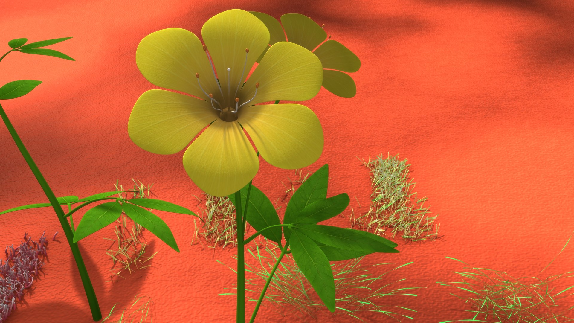 3D Model Autogamy Geitonogamy Xenogamy - TurboSquid 1854978