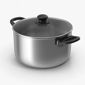 3D Silver Cooking Pot model