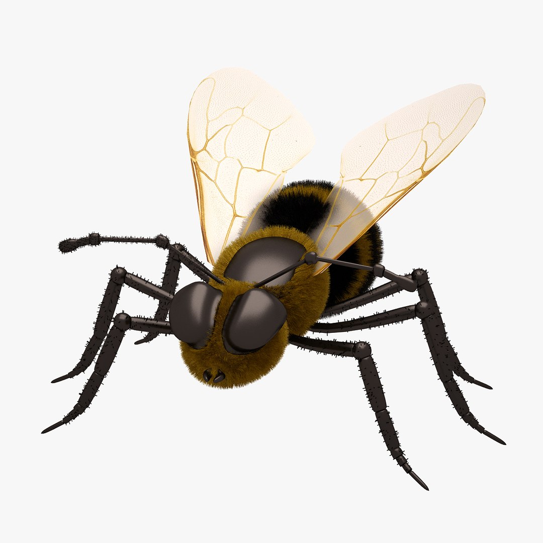 3d Honey Bee Open Model