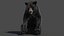3D Black Bear Rigged Fur model