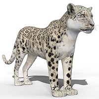 White Leopard (Bars)