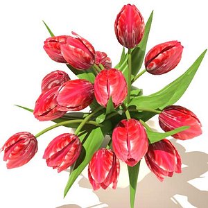 maya red tulips bouquet v3