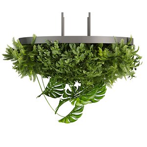 Collection plant vol 747 - Hanging - Ampelous - Fern - bush 3D model