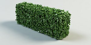 hedge bushes 3d model