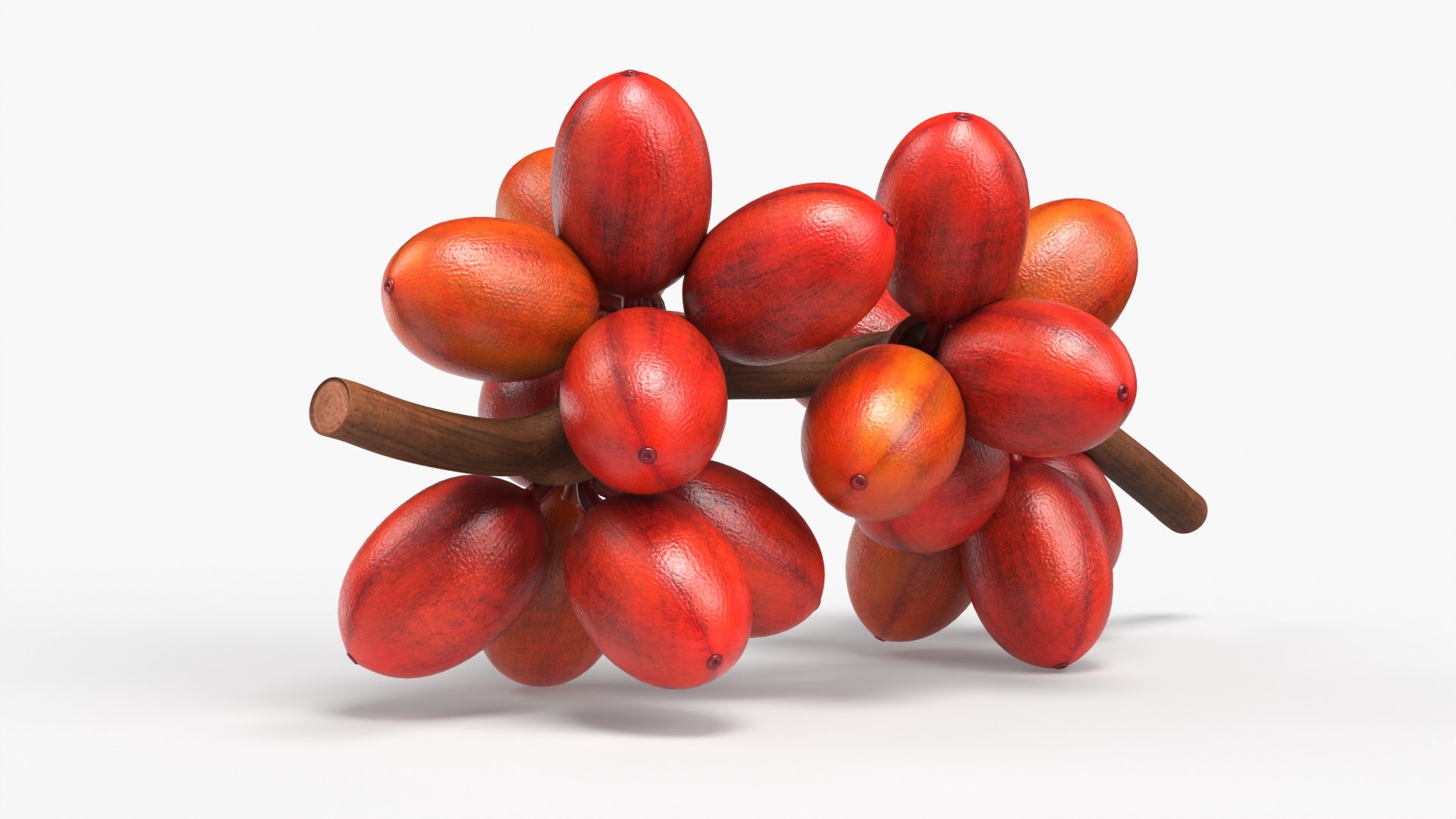 3D Ripe Coffee Fruit Branch https://p.turbosquid.com/ts-thumb/GF/gutvAJ/aJ/ripe_coffee_fruit_branch_004/jpg/1758587912/1920x1080/fit_q87/1ca3be0246ca74d809de4e8082e2a8f04f73361e/ripe_coffee_fruit_branch_004.jpg
