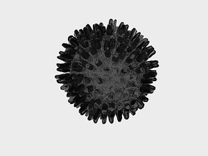 virus germ atom max