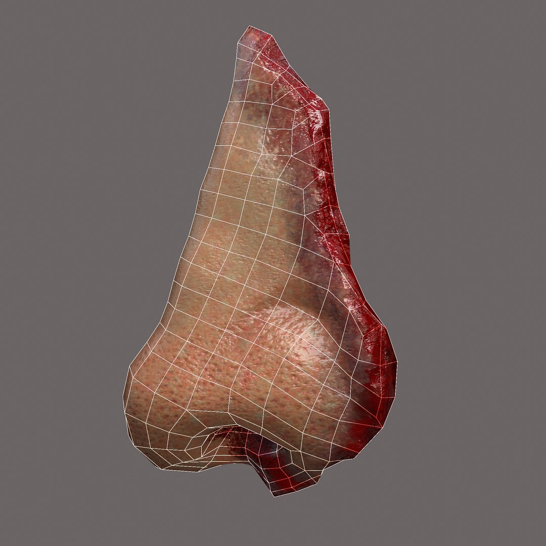 Severed Fingers Toes Ear and Nose 3D model https://p.turbosquid.com/ts-thumb/GF/rX7spP/2L/i/png/1635143580/1920x1080/fit_q87/595ff6d6893a8f2ea7440657a524ec4ce6b56faa/i.jpg