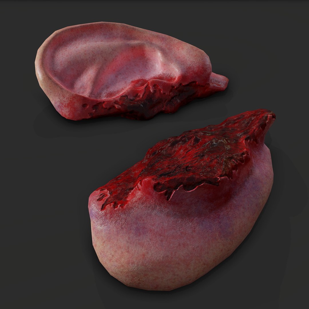 Severed Fingers Toes Ear and Nose 3D model https://p.turbosquid.com/ts-thumb/GF/rX7spP/4x/o/png/1635143633/1920x1080/fit_q87/edec741a5d72a2edfa9aaf5b2a0529816c78f606/o.jpg