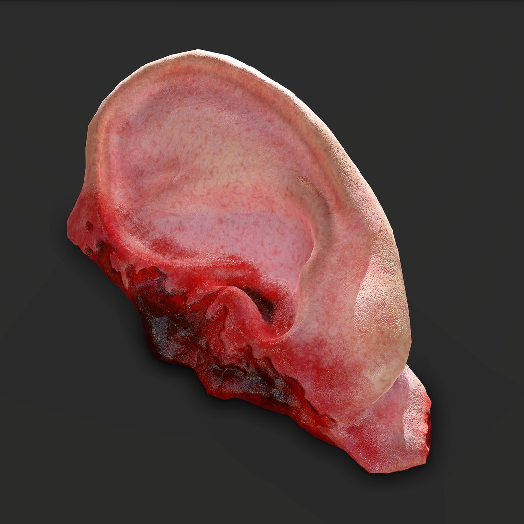 Severed Fingers Toes Ear and Nose 3D model https://p.turbosquid.com/ts-thumb/GF/rX7spP/AG/8/png/1635143602/1920x1080/fit_q87/60803a3e6b4a84d88aeb75ecdfaeab0bd10df9eb/8.jpg