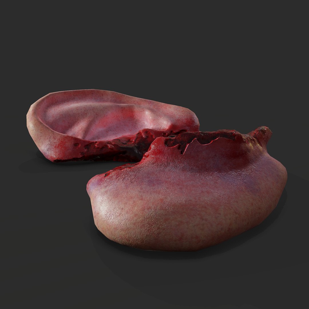 Severed Fingers Toes Ear and Nose 3D model https://p.turbosquid.com/ts-thumb/GF/rX7spP/HM/n/png/1635143624/1920x1080/fit_q87/c94512db825537482b3445fa4dfad0cee6d87e17/n.jpg
