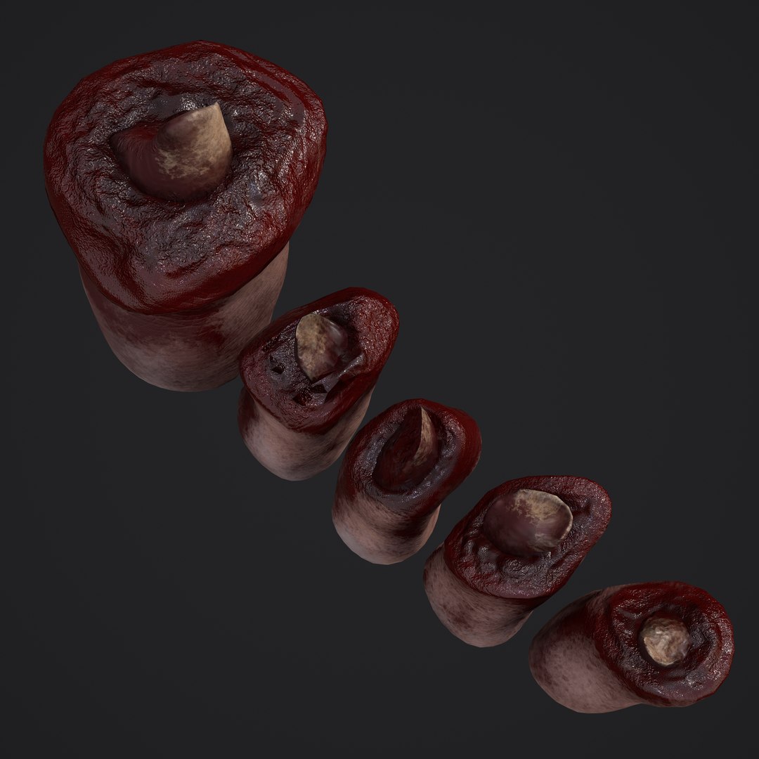 Severed Fingers Toes Ear and Nose 3D model https://p.turbosquid.com/ts-thumb/GF/rX7spP/Rv/a2/png/1635143437/1920x1080/fit_q87/67b0288279c4e19e0af66ada38d46577ffaae3f9/a2.jpg