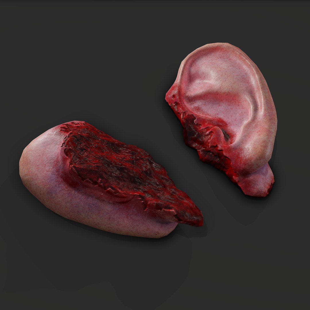 Severed Fingers Toes Ear and Nose 3D model https://p.turbosquid.com/ts-thumb/GF/rX7spP/Uv/i/png/1635143614/1920x1080/fit_q87/85ebfeba49b4d144f52b57c0e6114ce5e61b6f28/i.jpg