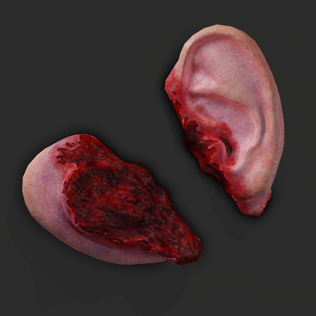 Severed Fingers Toes Ear and Nose 3D model https://p.turbosquid.com/ts-thumb/GF/rX7spP/Xy/h/png/1635143616/1920x1080/fit_q87/18d531ed176906c255e209d793527e956676de8e/h.jpg
