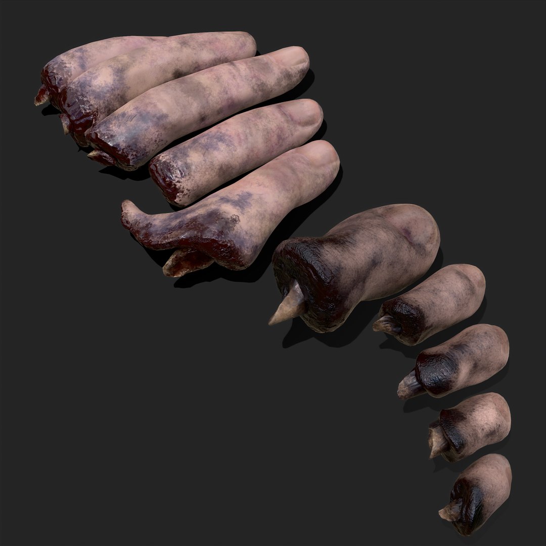Severed Fingers Toes Ear and Nose 3D model https://p.turbosquid.com/ts-thumb/GF/rX7spP/gc/do3/png/1635139677/1920x1080/fit_q87/7696375a528c73e752146cf26f9f80bdc4649af9/do3.jpg
