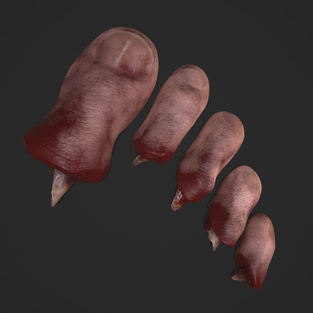 Severed Fingers Toes Ear and Nose 3D model https://p.turbosquid.com/ts-thumb/GF/rX7spP/xz/2/png/1635143433/1920x1080/fit_q87/f4515a08ab68e7846dece914dd25b9c4531e2ee6/2.jpg