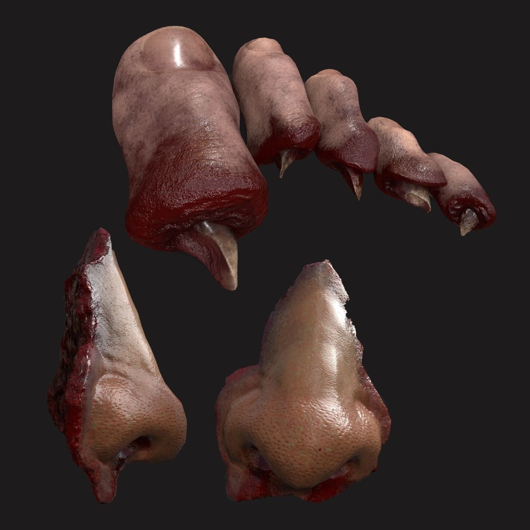 Severed Fingers Toes Ear and Nose 3D model https://p.turbosquid.com/ts-thumb/GF/rX7spP/z3/severednoseandtoes3dmodelobjfbx/jpg/1635142958/1920x1080/fit_q87/3d767e4e61e20a9fd2f69e4cd57d74c4a29c2851/severednoseandtoes3dmodelobjfbx.jpg