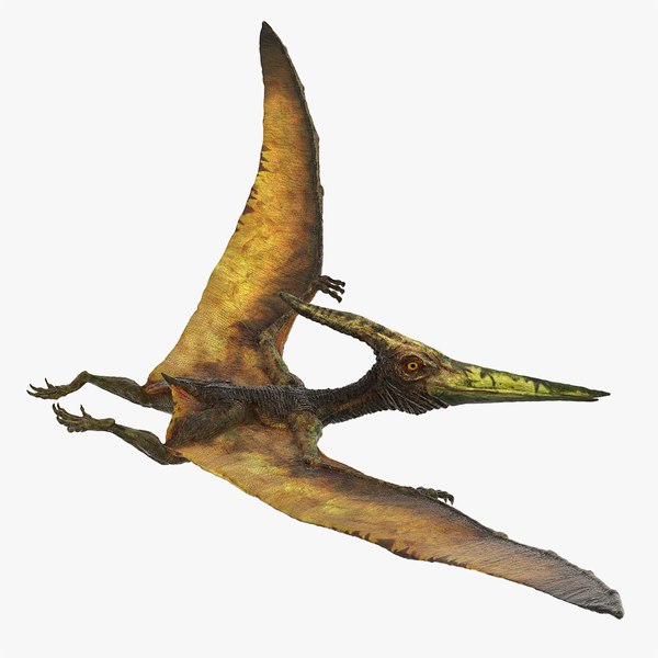 modelo 3d Pteranodon Flying Carnivorous Reptile Flying Pose ...