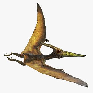 Pteranodon Flying Carnivorous Reptile Flying Pose