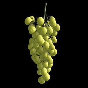 maya grape