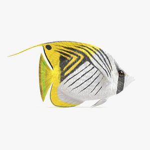 3D threadfin butterflyfish