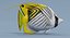 Butterflyfish di Threadfin