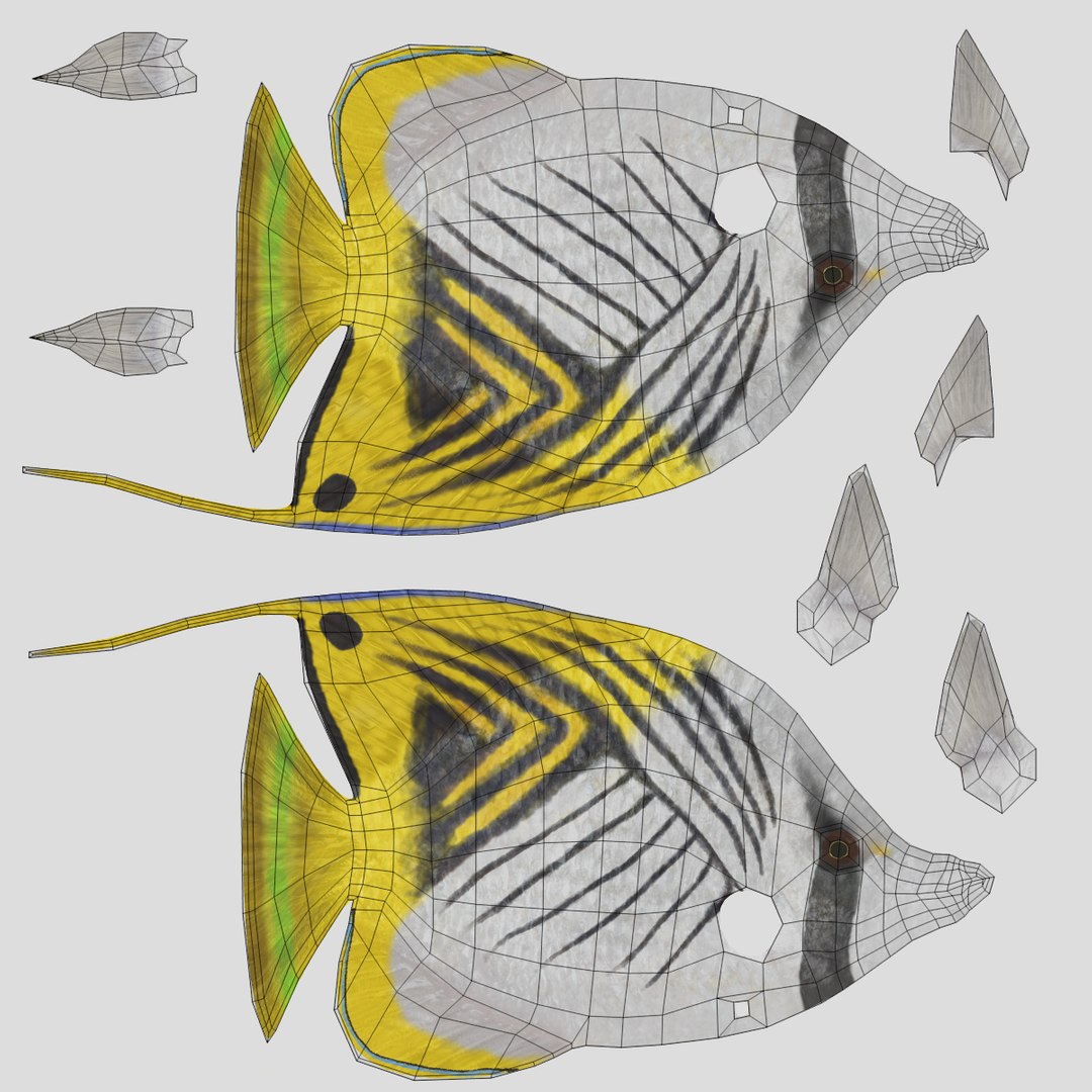 3D threadfin butterflyfish https://p.turbosquid.com/ts-thumb/GG/m3tzxr/mIPJy0rn/threadfinbutterflyfishuv/png/1517225231/1920x1080/fit_q87/6ed479928b397143a65947eb2fea250efb5a6a68/threadfinbutterflyfishuv.jpg