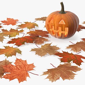 Halloween Pumpkin among Fallen Leaves