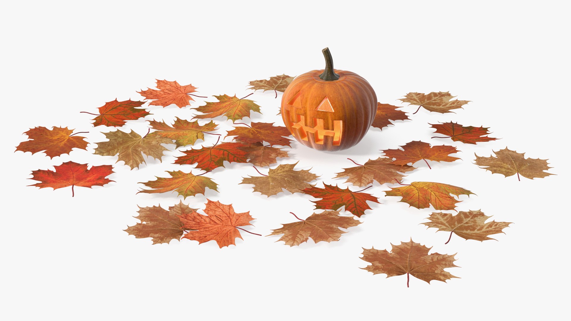 Halloween Pumpkin among Fallen Leaves 3D model preview