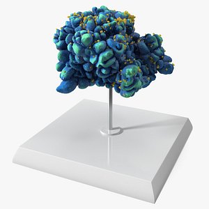Viral HIV T Cell Structure on Stand