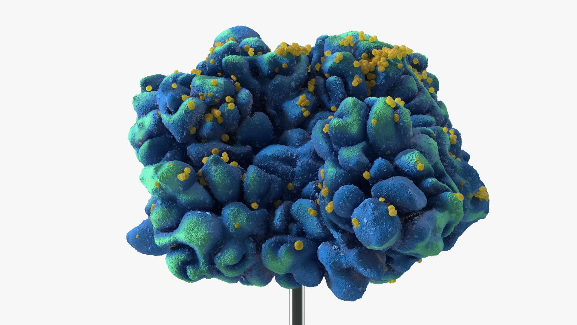 Viral HIV T Cell Structure On Stand 3D Model - TurboSquid 2536635