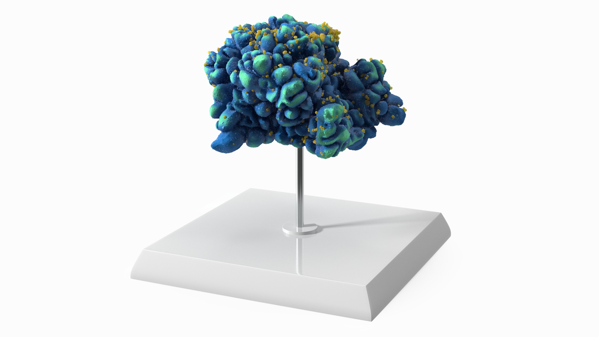 Viral HIV T Cell Structure On Stand 3D Model - TurboSquid 2536635