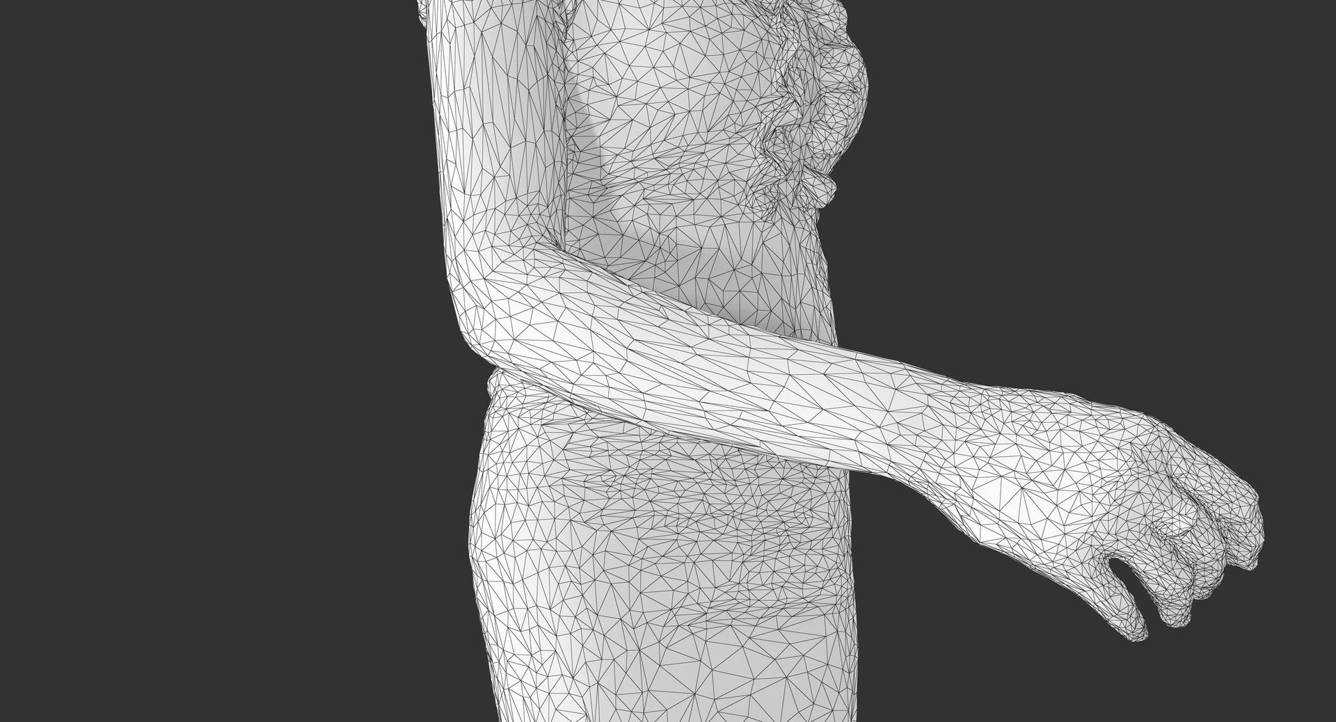 human body 3d model