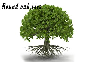 max oak tree