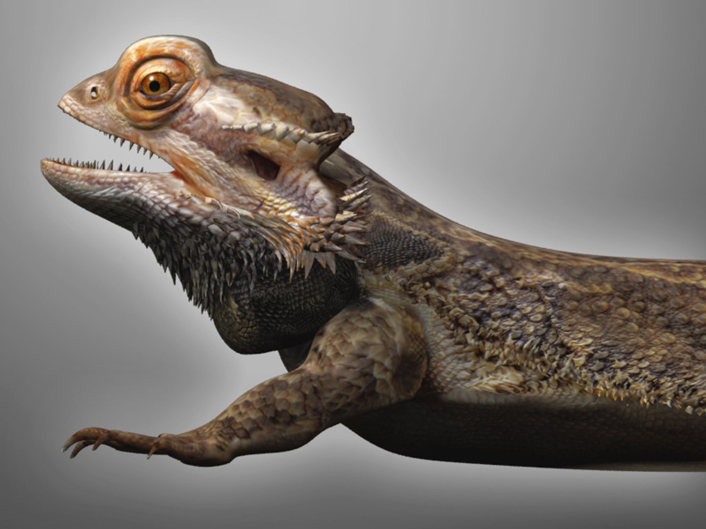 max bearded dragon https://p.turbosquid.com/ts-thumb/GH/mJO1sd/3F0NS1QU/beardie_08/jpg/1304645505/1920x1080/fit_q87/1582aa7f25121e90665cb19e529c51ed131d2ddb/beardie_08.jpg